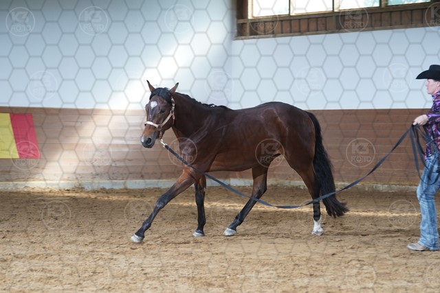 sA9K05721.JPG